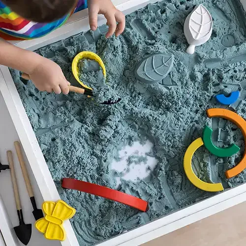 Reggio-inspired exploration